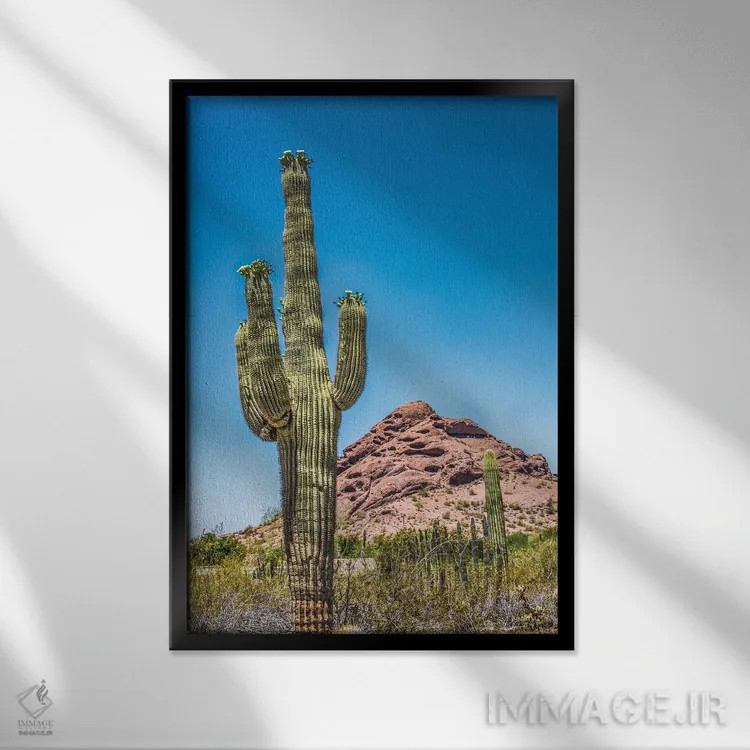 تابلو دکوراتیو Brown Mountain, Desert Botanical Garden, Phoenix, Arizona,شک… اثر ویلیام پری - نمای قابدار مشکی