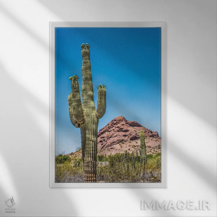 تابلو دکوراتیو Brown Mountain, Desert Botanical Garden, Phoenix, Arizona,شک… اثر ویلیام پری - نمای قابدار سفید