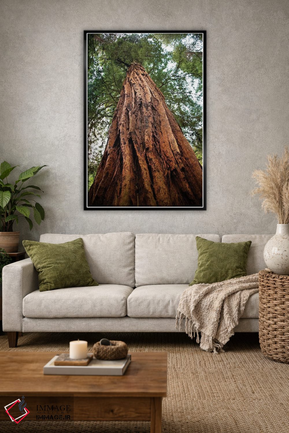 تابلو دکوراتیو Muir Woods National Monument, Golden Gate National Recreatio… اثر ویلیام پری - D1B