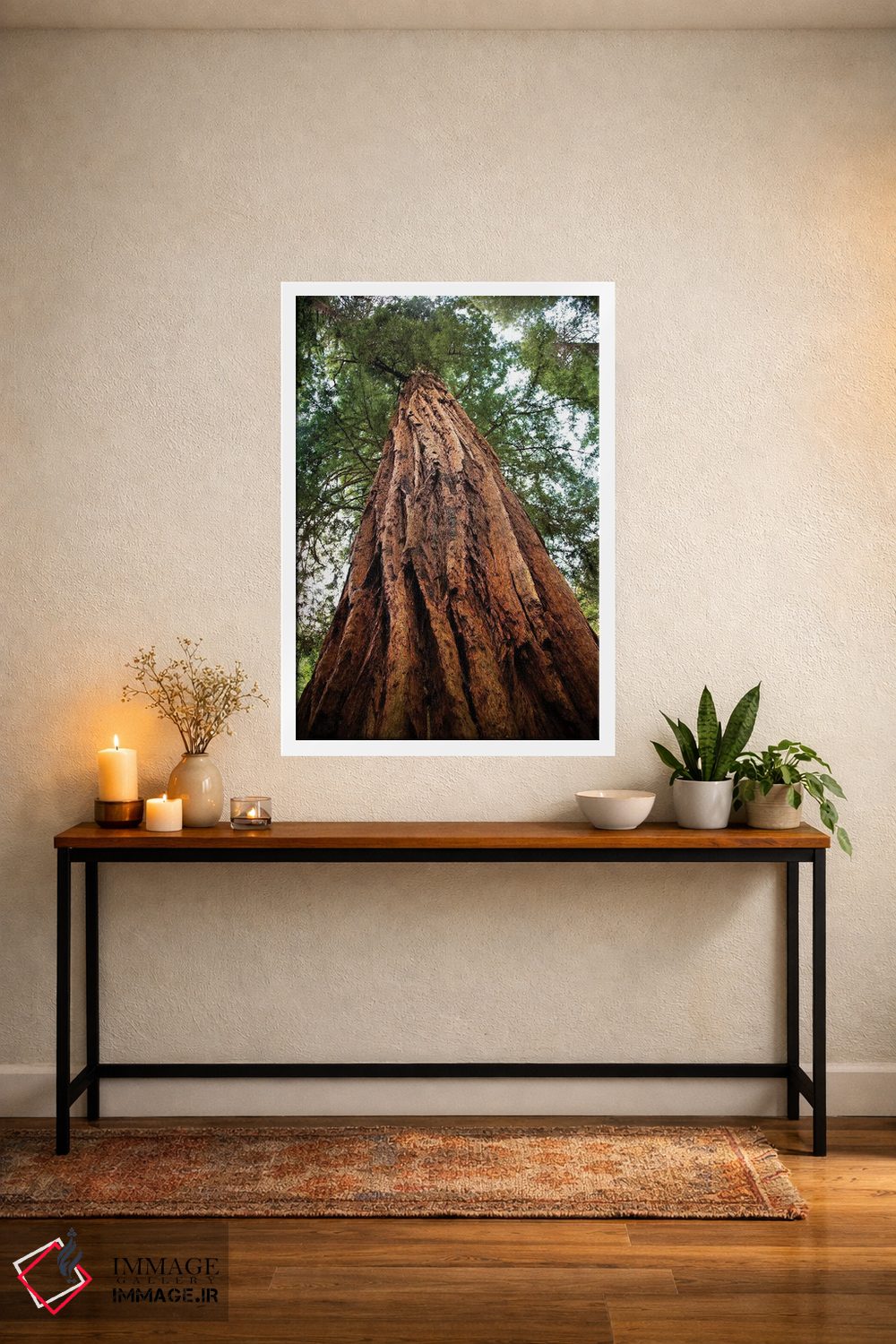 تابلو دکوراتیو Muir Woods National Monument, Golden Gate National Recreatio… اثر ویلیام پری - D3W