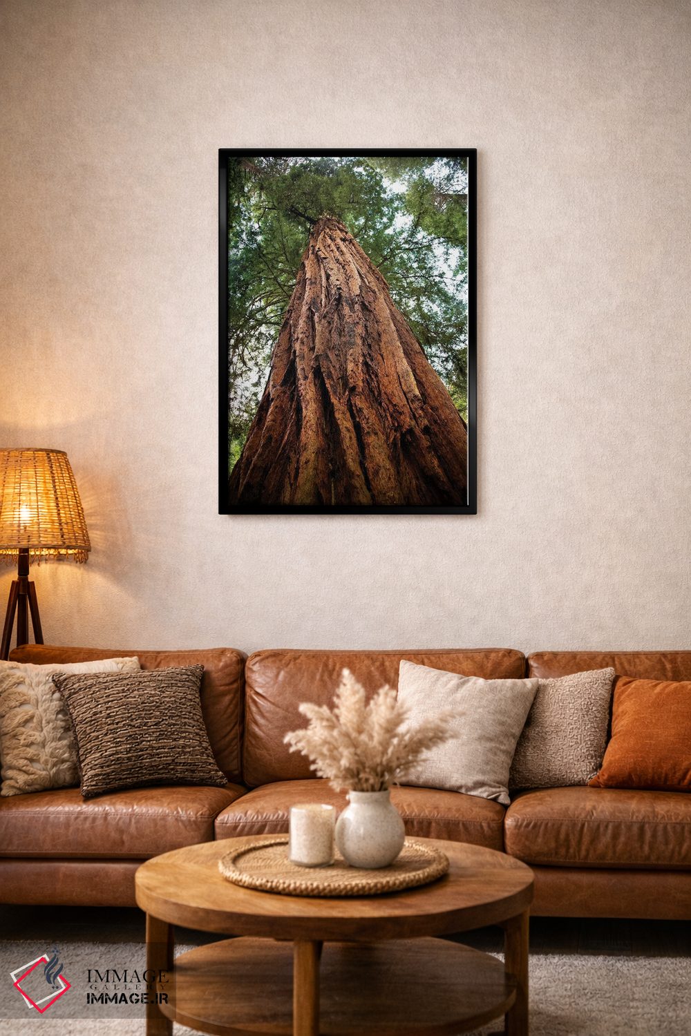 تابلو دکوراتیو Muir Woods National Monument, Golden Gate National Recreatio… اثر ویلیام پری - D4B