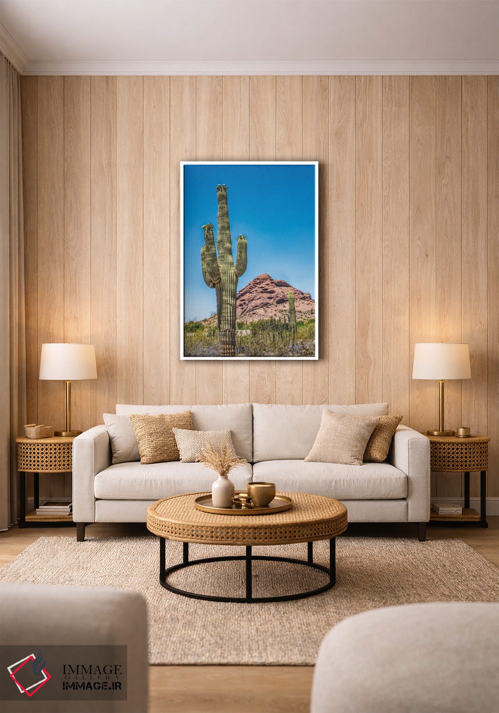 تابلو دکوراتیو Brown Mountain, Desert Botanical Garden, Phoenix, Arizona,شک… اثر ویلیام پری - D1W
