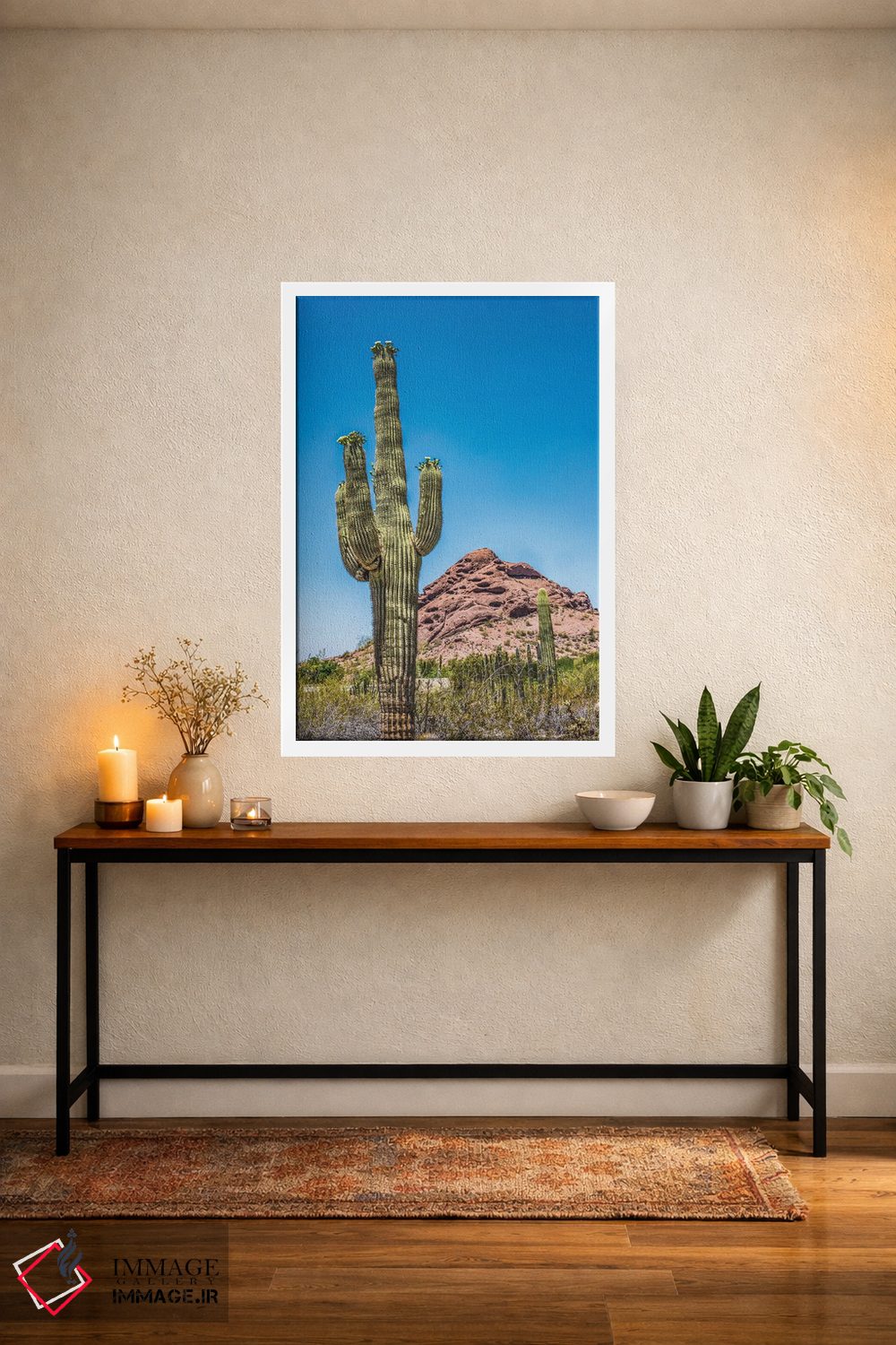 تابلو دکوراتیو Brown Mountain, Desert Botanical Garden, Phoenix, Arizona,شک… اثر ویلیام پری - D3W