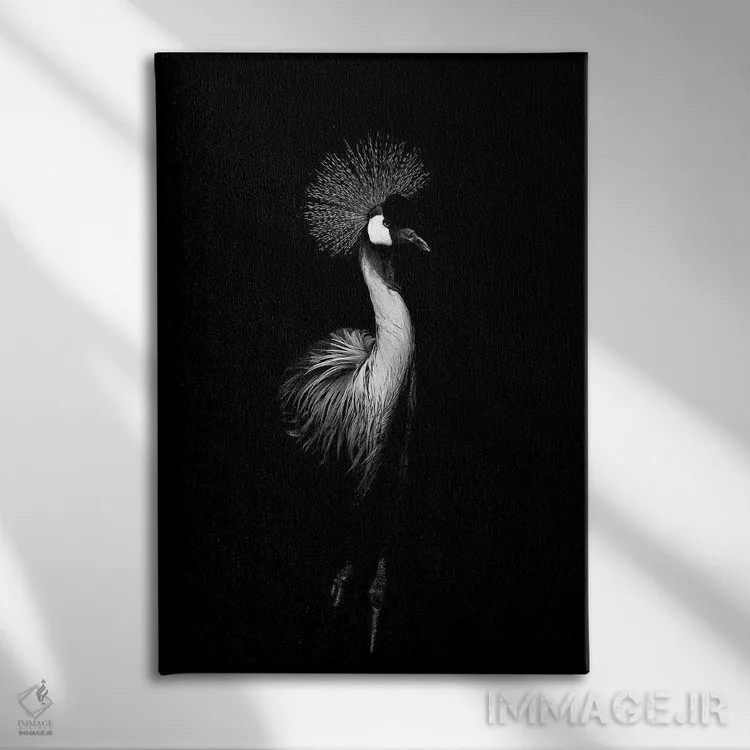 تابلو دکوراتیو درنای سیاه اثر واتر ریکن - نمای روبهرو روی دیوار