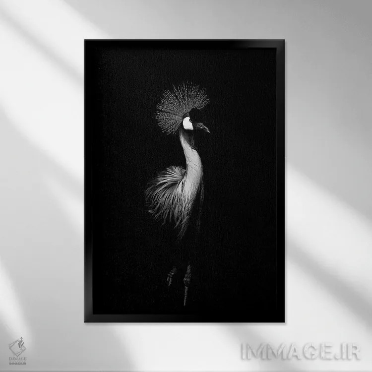 تابلو دکوراتیو درنای سیاه اثر واتر ریکن - نمای قابدار مشکی