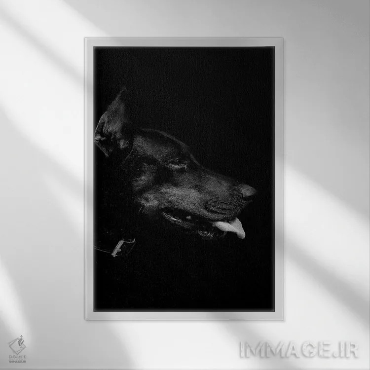 تابلو دکوراتیو دوبرمن سیاه اثر واتر ریکن - نمای قابدار سفید