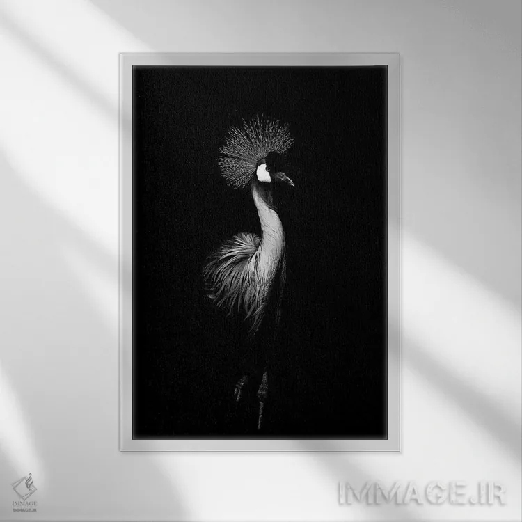 تابلو دکوراتیو درنای سیاه اثر واتر ریکن - نمای قابدار سفید