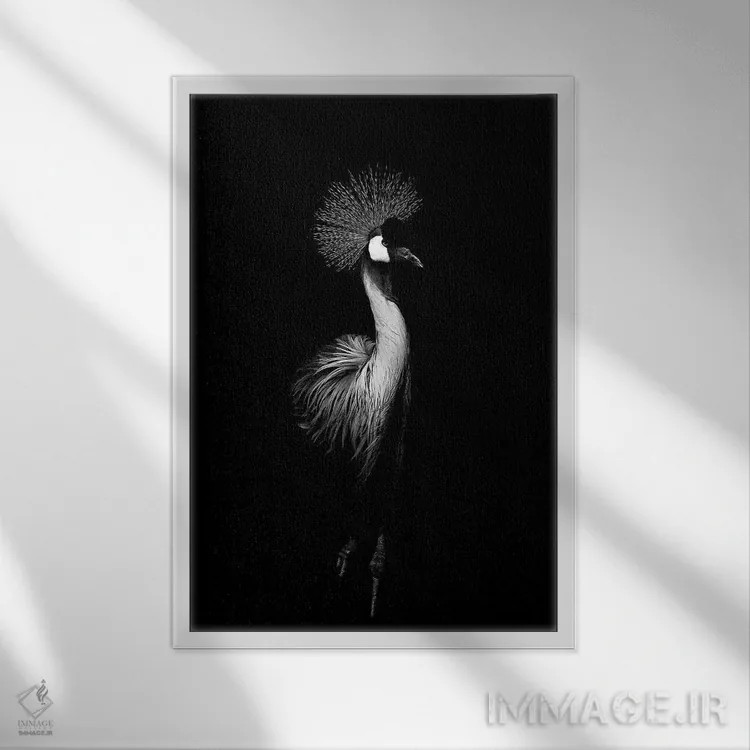 تابلو دکوراتیو درنای سیاه اثر واتر ریکن - نمای قابدار سفید
