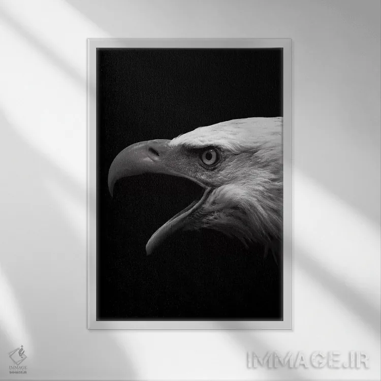 تابلو دکوراتیو عقاب سیاه اثر واتر ریکن - نمای قابدار سفید