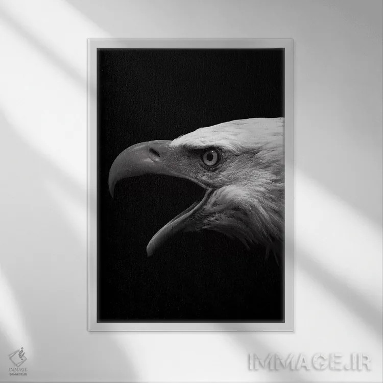 تابلو دکوراتیو عقاب سیاه اثر واتر ریکن - نمای قابدار سفید