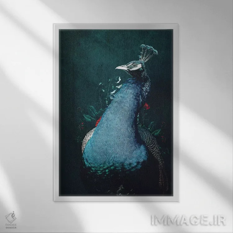 تابلو دکوراتیو طاووس ۲ اثر واتر ریکن - نمای قابدار سفید