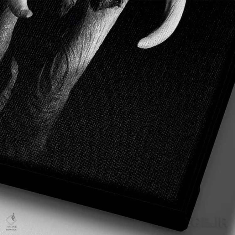 تابلو دکوراتیو فیل سیاه ۳ اثر واتر ریکن - نمای نزدیک بافت بوم