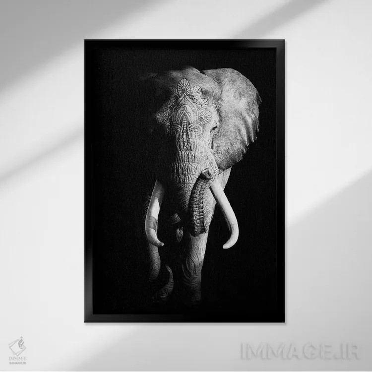 تابلو دکوراتیو فیل سیاه ۳ اثر واتر ریکن - نمای قابدار مشکی