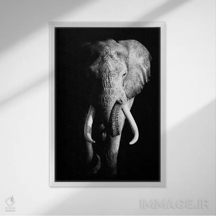 تابلو دکوراتیو فیل سیاه ۳ اثر واتر ریکن - نمای قابدار سفید