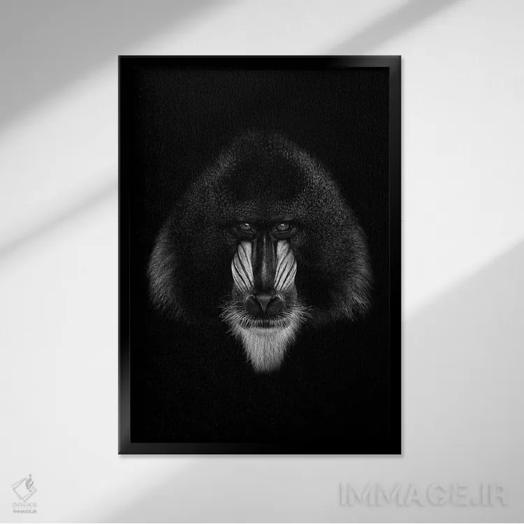 تابلو دکوراتیو ماندریل سیاه اثر واتر ریکن - نمای قابدار مشکی