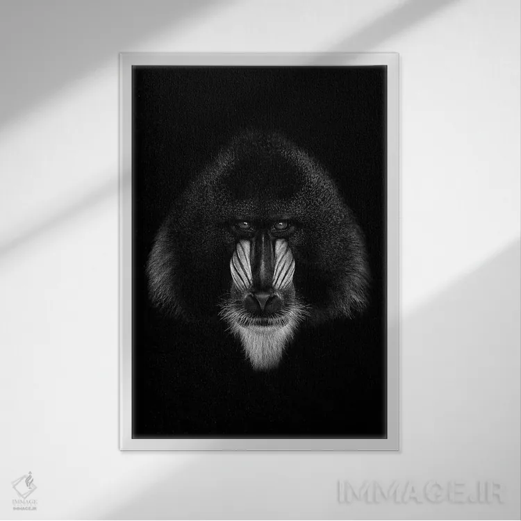 تابلو دکوراتیو ماندریل سیاه اثر واتر ریکن - نمای قابدار سفید