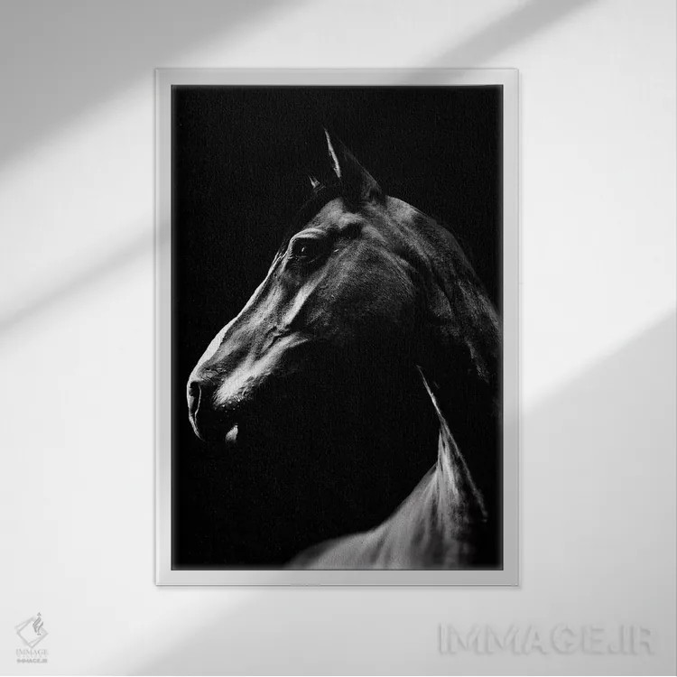 تابلو دکوراتیو اسب سیاه اثر واتر ریکن - نمای قابدار سفید