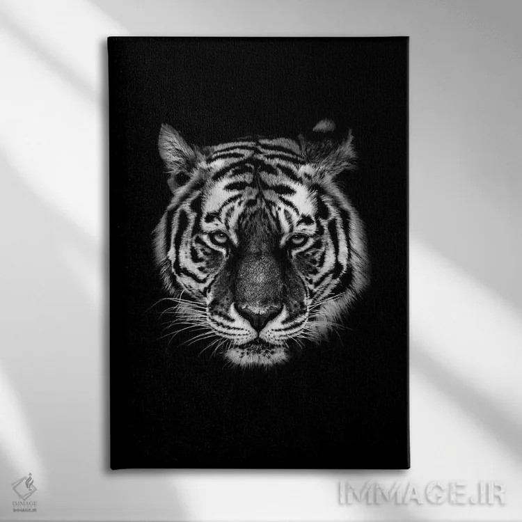 تابلو دکوراتیو ببر سیاه ۱ اثر واتر ریکن - نمای روبهرو روی دیوار