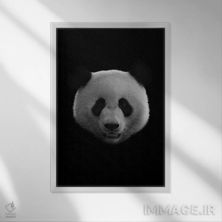 تابلو دکوراتیو پاندای سیاه اثر واتر ریکن - نمای قابدار سفید