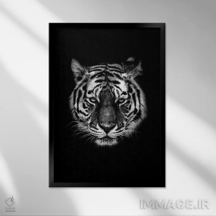تابلو دکوراتیو ببر سیاه ۱ اثر واتر ریکن - نمای قابدار مشکی