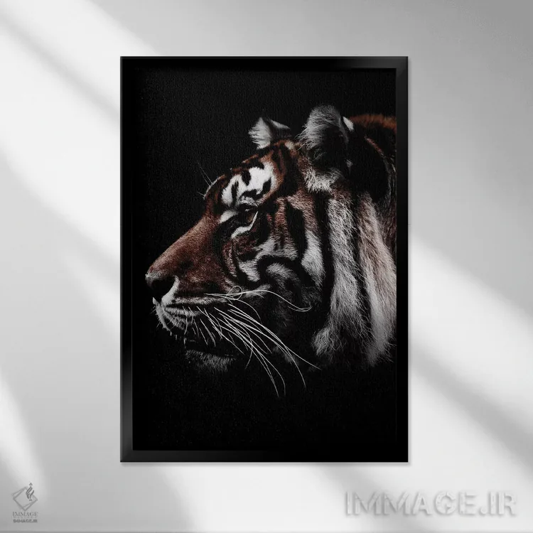 تابلو دکوراتیو Color,ببر سیاه، رنگی اثر واتر ریکن - نمای قابدار مشکی