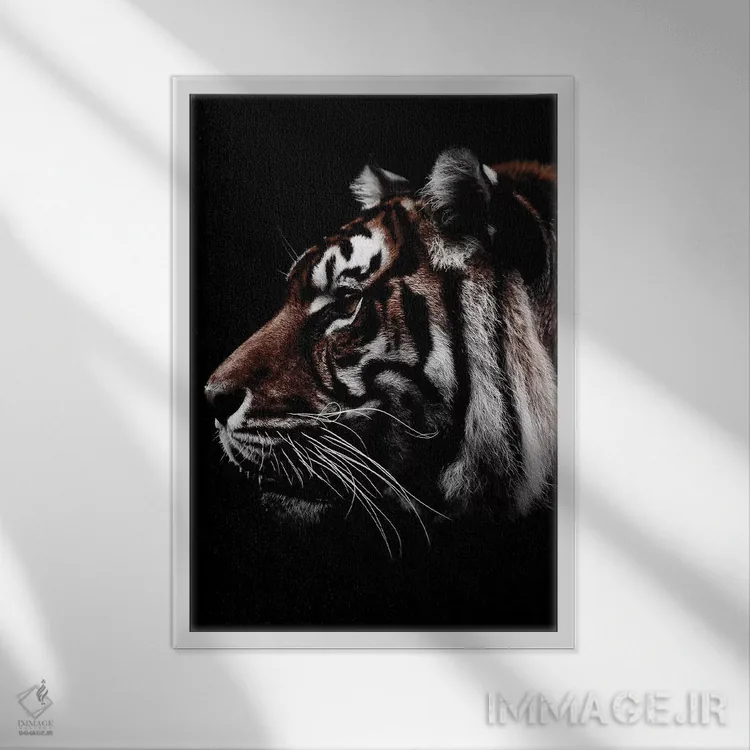 تابلو دکوراتیو Color,ببر سیاه، رنگی اثر واتر ریکن - نمای قابدار سفید