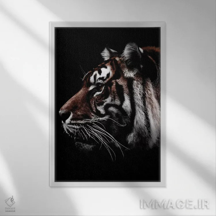تابلو دکوراتیو Color,ببر سیاه، رنگی اثر واتر ریکن - نمای قابدار سفید