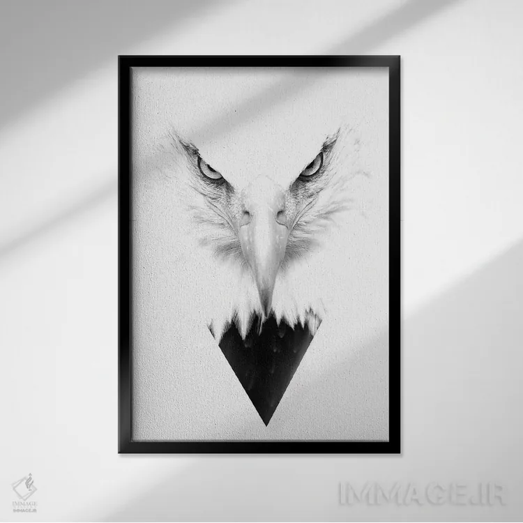 تابلو دکوراتیو عقاب سفید اثر واتر ریکن - نمای قابدار مشکی