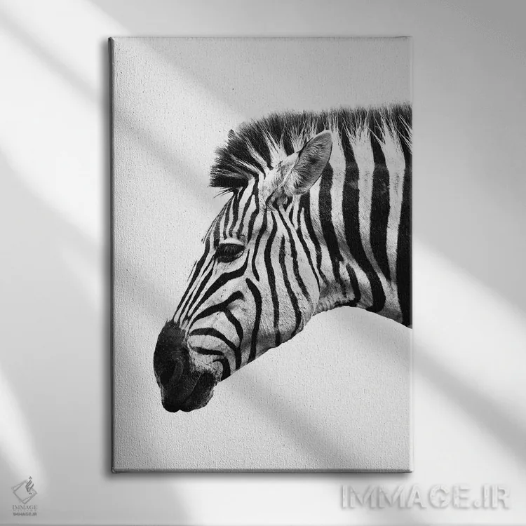 تابلو دکوراتیو گورخر سفید اثر واتر ریکن - نمای روبهرو روی دیوار