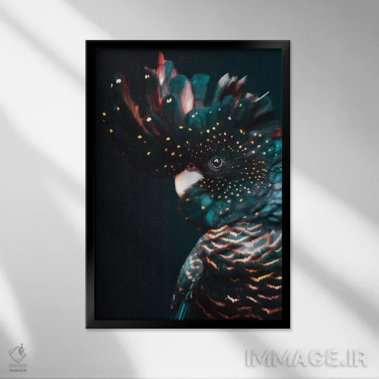 تابلو دکوراتیو کاکاتو اثر واتر ریکن - نمای قابدار مشکی