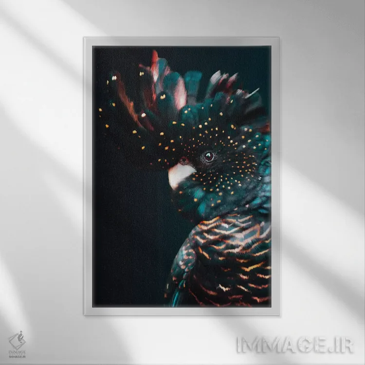 تابلو دکوراتیو کاکاتو اثر واتر ریکن - نمای قابدار سفید