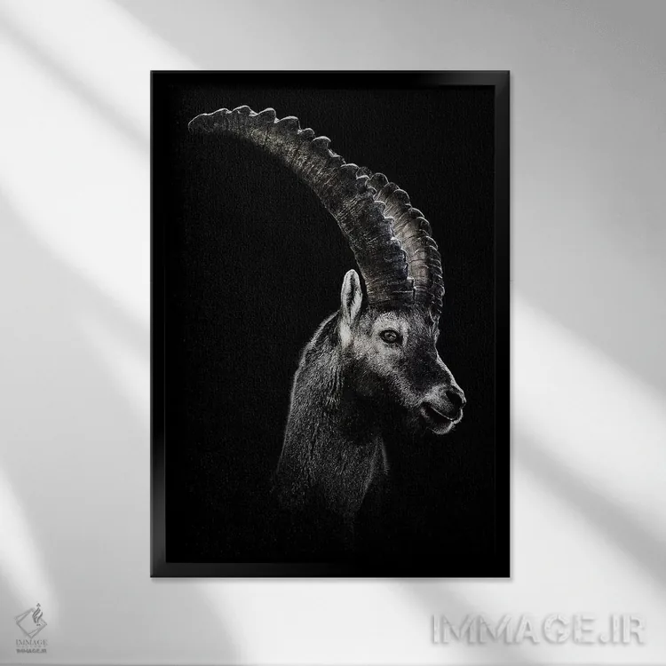 تابلو دکوراتیو بز دریایی سیاه اثر واتر ریکن - نمای قابدار مشکی