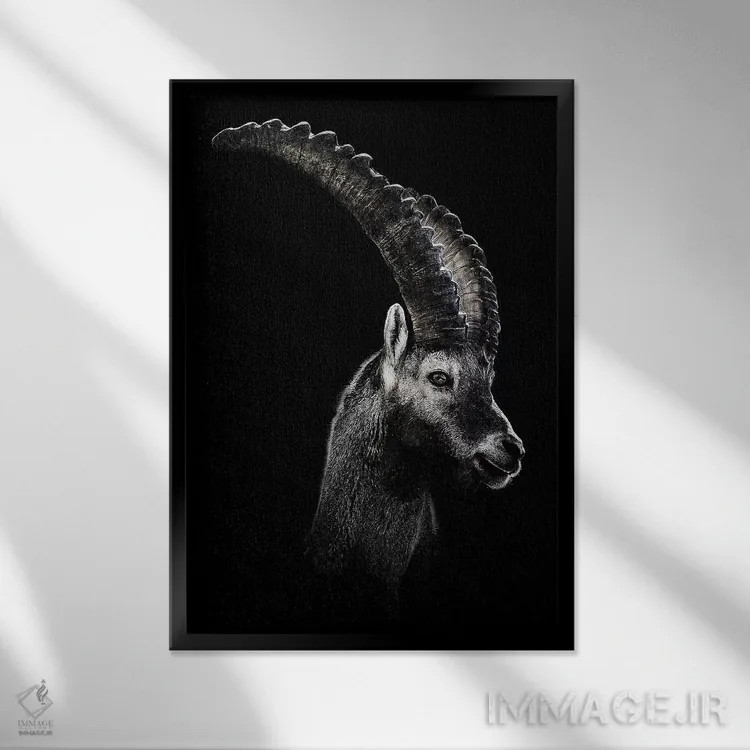 تابلو دکوراتیو بز دریایی سیاه اثر واتر ریکن - نمای قابدار مشکی