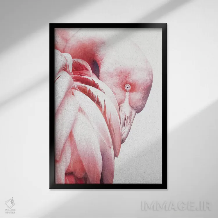 تابلو دکوراتیو فلامینگوی سفید اثر واتر ریکن - نمای قابدار مشکی