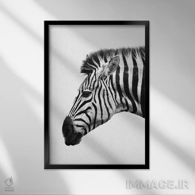 تابلو دکوراتیو گورخر سفید اثر واتر ریکن - نمای قابدار مشکی