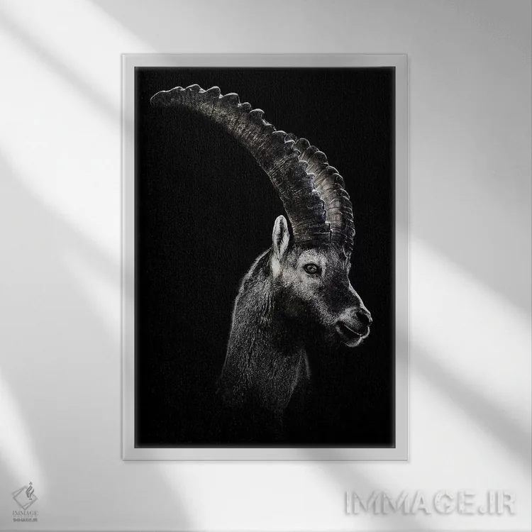 تابلو دکوراتیو بز دریایی سیاه اثر واتر ریکن - نمای قابدار سفید