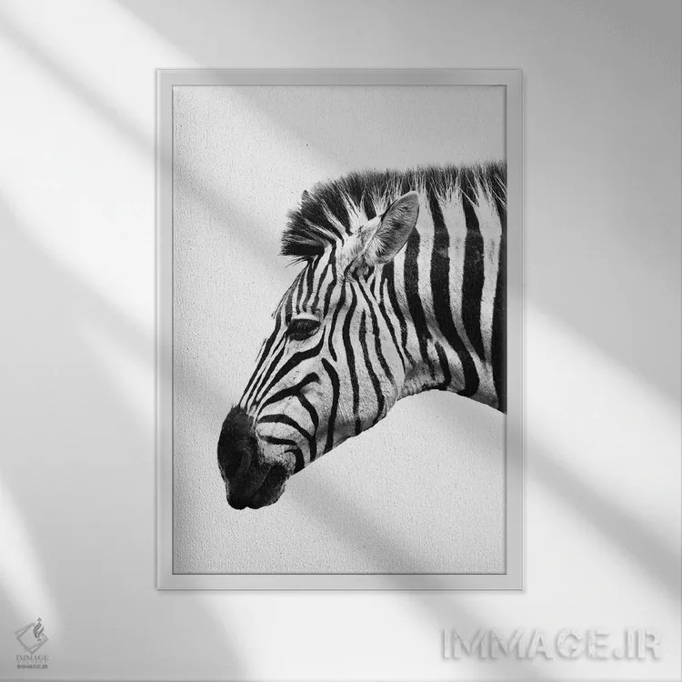 تابلو دکوراتیو گورخر سفید اثر واتر ریکن - نمای قابدار سفید