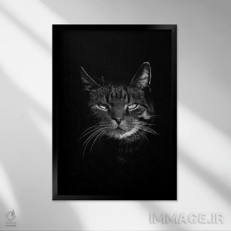 تابلو دکوراتیو گربه سیاه اثر واتر ریکن - نمای قابدار مشکی