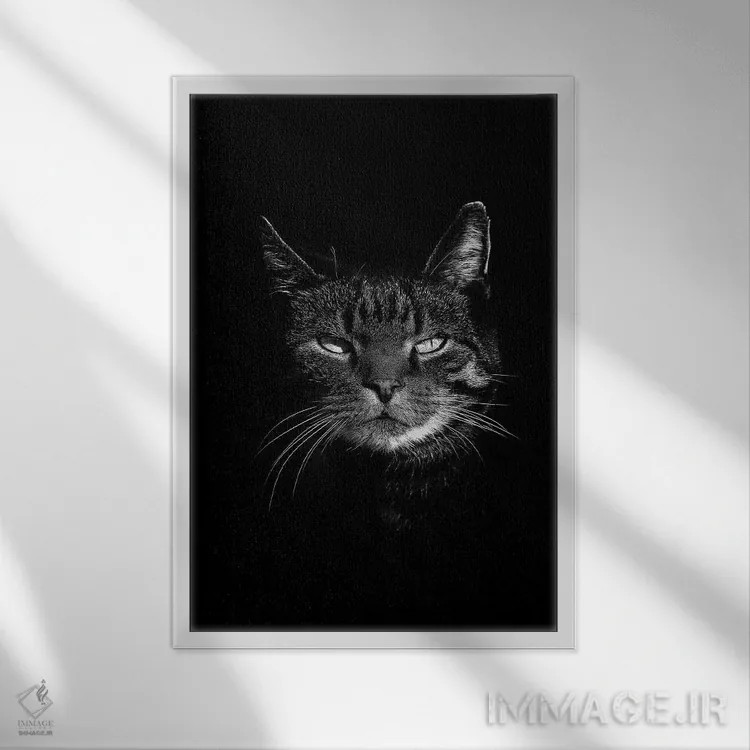 تابلو دکوراتیو گربه سیاه اثر واتر ریکن - نمای قابدار سفید