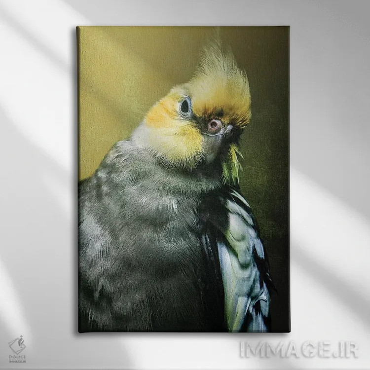 تابلو دکوراتیو عروس هلندی اثر واتر ریکن - نمای روبهرو روی دیوار