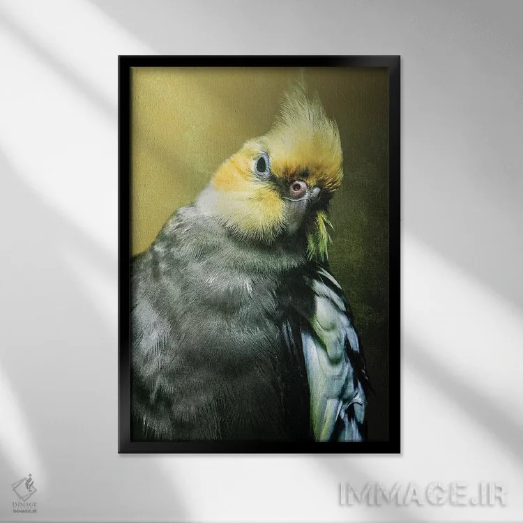 تابلو دکوراتیو عروس هلندی اثر واتر ریکن - نمای قابدار مشکی