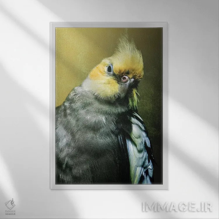 تابلو دکوراتیو عروس هلندی اثر واتر ریکن - نمای قابدار سفید
