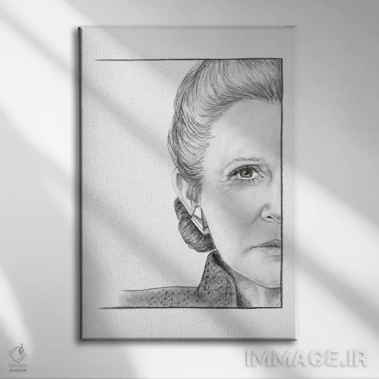 تابلو دکوراتیو ژنرال لیا اثر مارتا ویت - نمای روبهرو روی دیوار