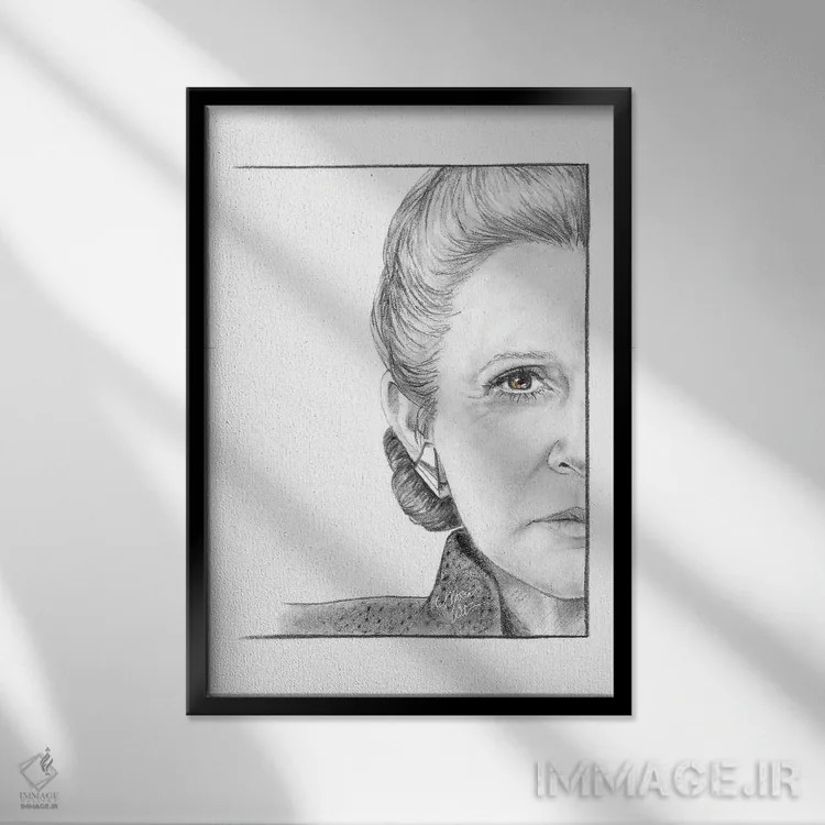 تابلو دکوراتیو ژنرال لیا اثر مارتا ویت - نمای قابدار مشکی