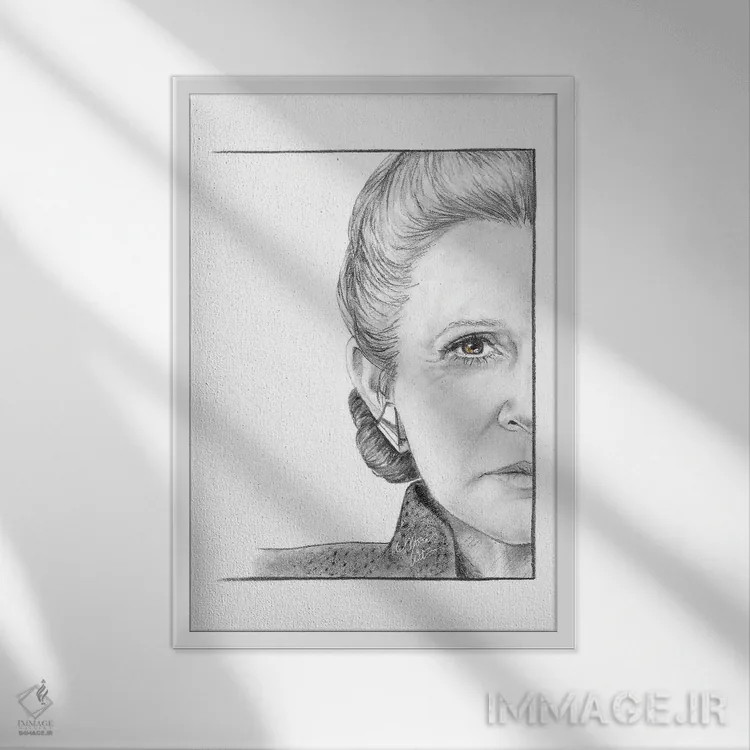 تابلو دکوراتیو ژنرال لیا اثر مارتا ویت - نمای قابدار سفید