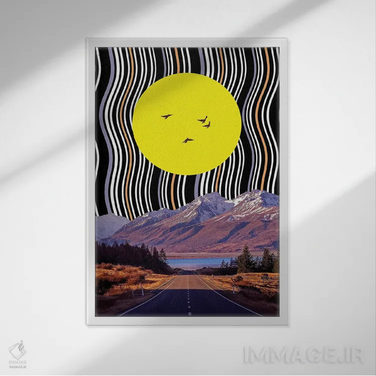 تابلو دکوراتیو چرخش پرندگان اثر یگور ژولدیبین - نمای قابدار سفید