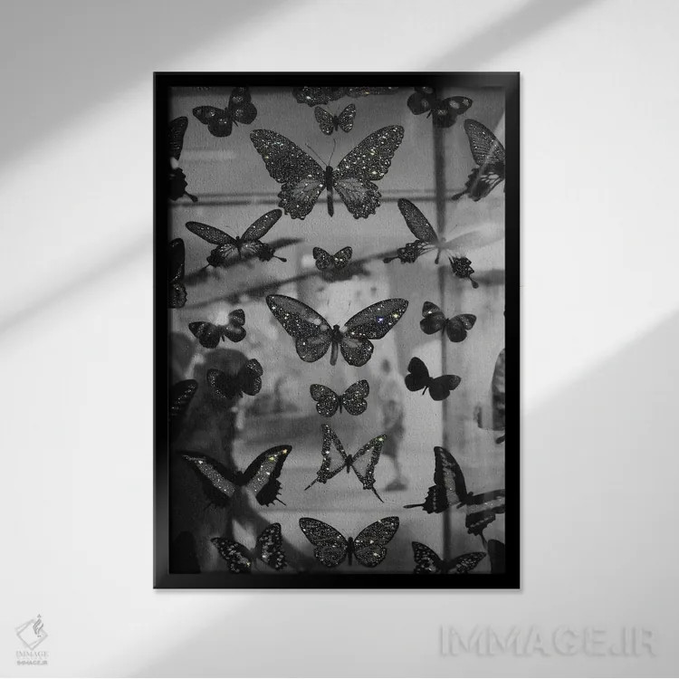 تابلو دکوراتیو پروانه ها اثر یانا پاتر - نمای قابدار مشکی