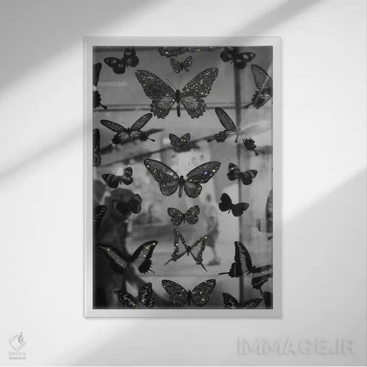 تابلو دکوراتیو پروانه ها اثر یانا پاتر - نمای قابدار سفید