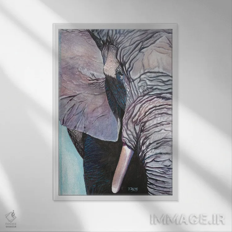 تابلو دکوراتیو پرتره فیل اثر یوئه زنگ - نمای قابدار سفید