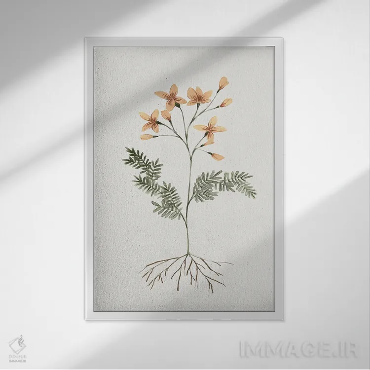 تابلو دکوراتیو گل های ریشه دار II اثر ایزابل زد - نمای قابدار سفید